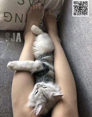 《龙珠超:超级英雄》
